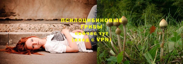 ALPHA PVP Ельня