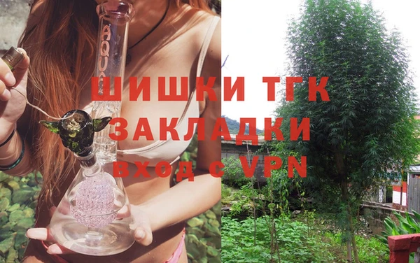 ALPHA PVP Ельня