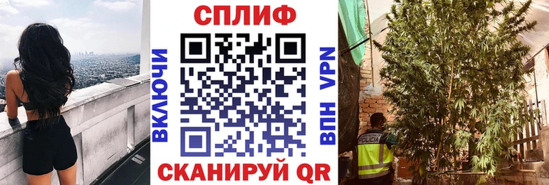 как найти наркотики  Пятигорск  Канабис марихуана 